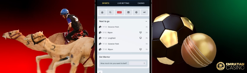 UAE-Licensed vs. Offshore sports Betting Payments: The Cost of Funding Your Account